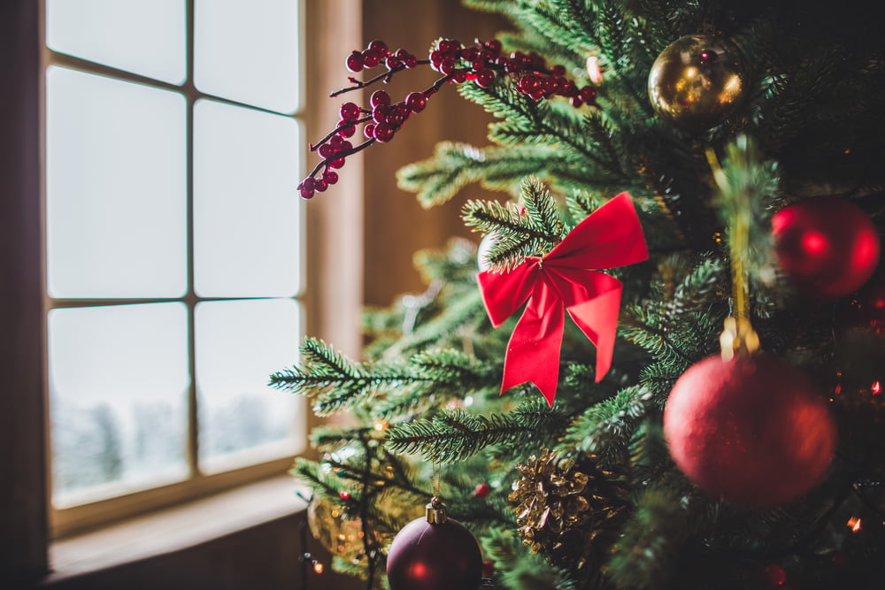 Services Here is Christmas decorations in a home with an unexpected pregnancy